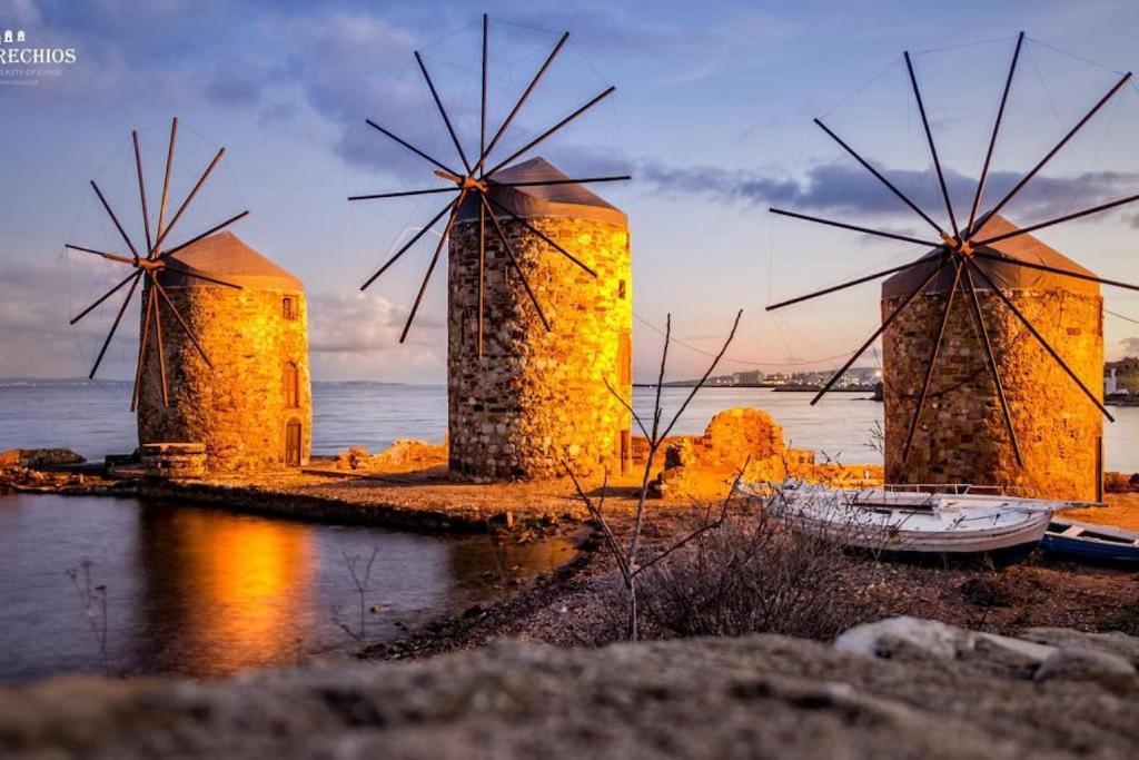 キオスΜεζονέτα Aikaterini N3アパートメント エクステリア 写真